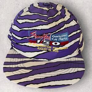 Vintage Racing Snapback Hat Farmington Speedway 1995 Stevens Beil Tiger Stripe